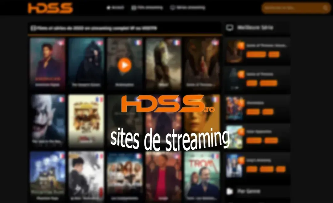 HDSS Recherche Google.webp