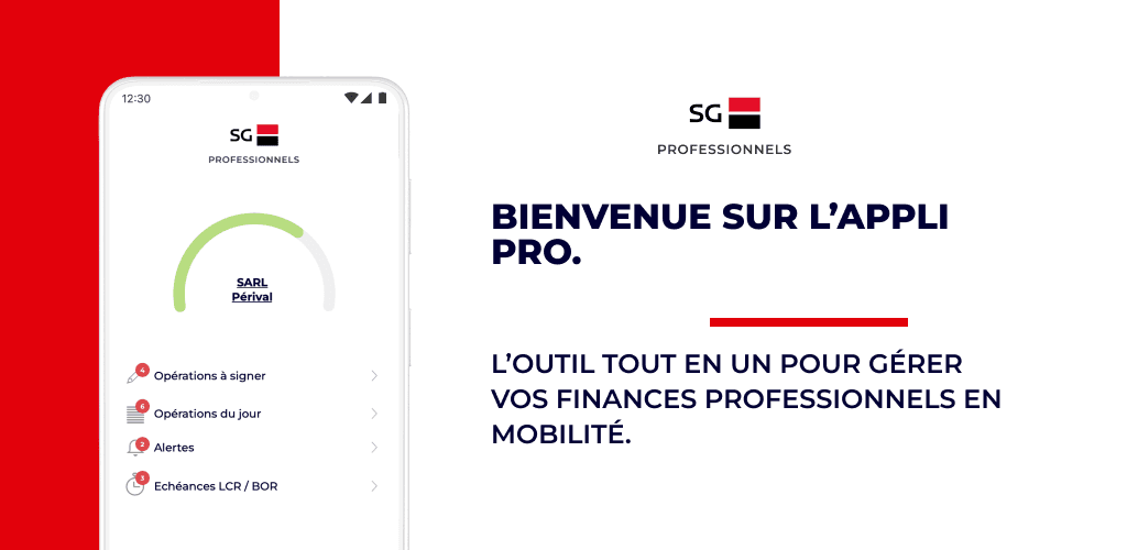 Société Générale Pro Graphic.png