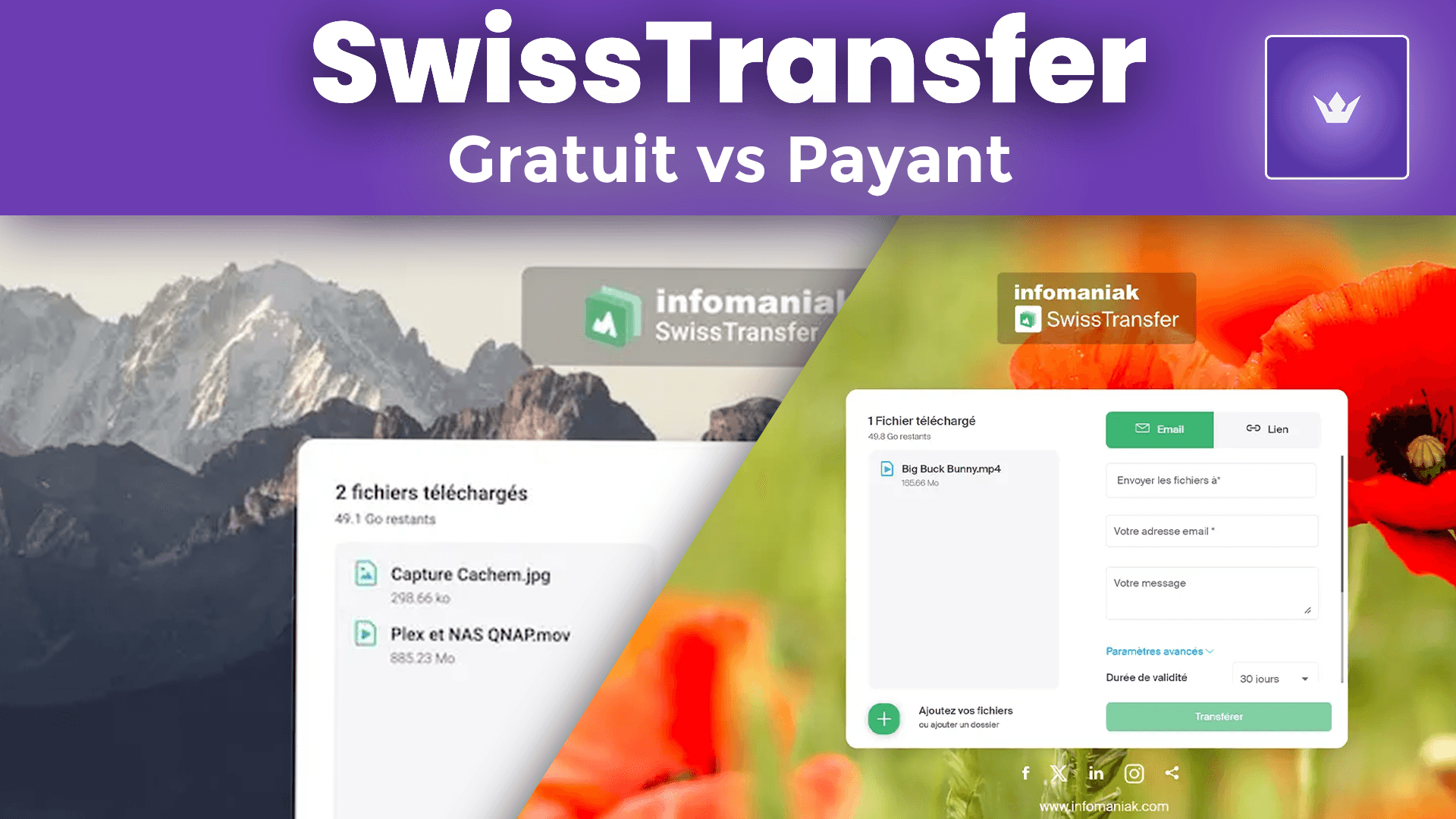 Swisstransfer-plan gratuit vs plan payant.png