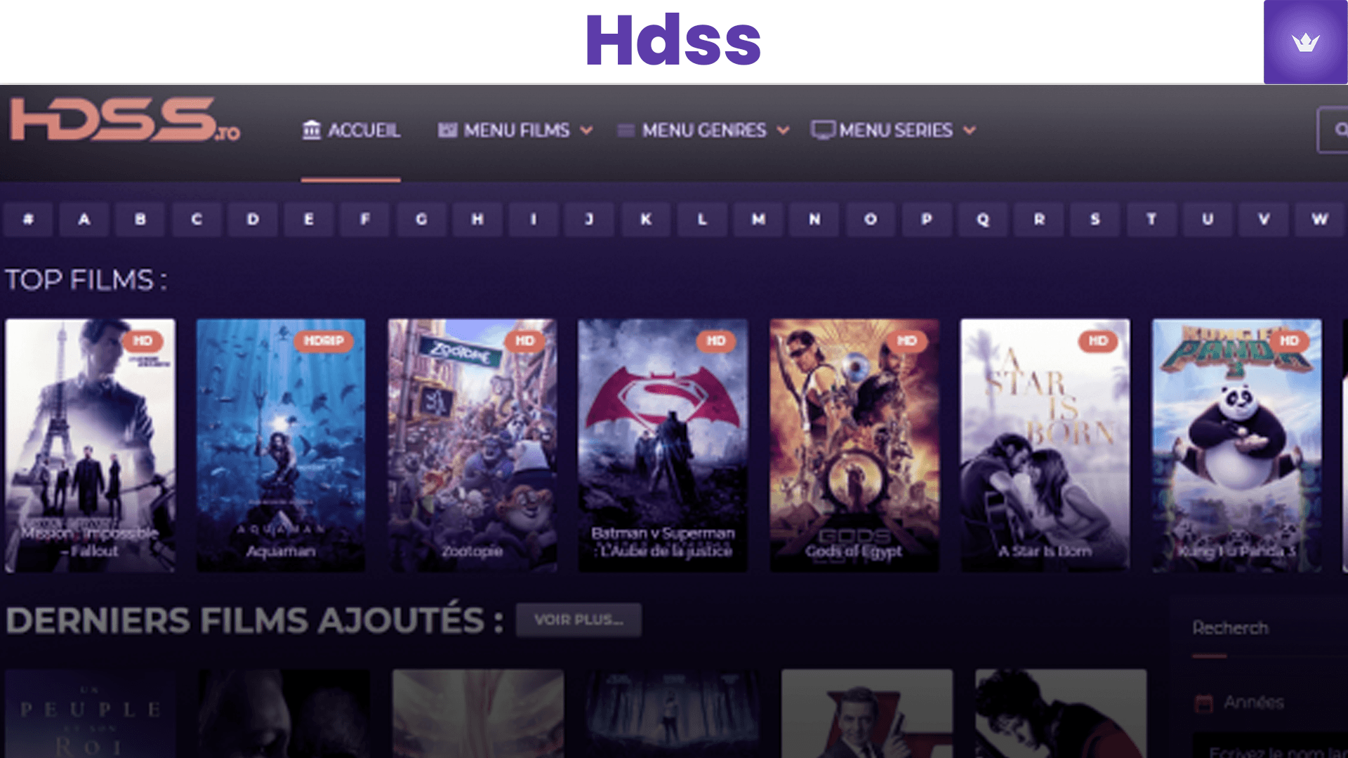 Guide Ultime : Tout Savoir sur HDSS en 2025