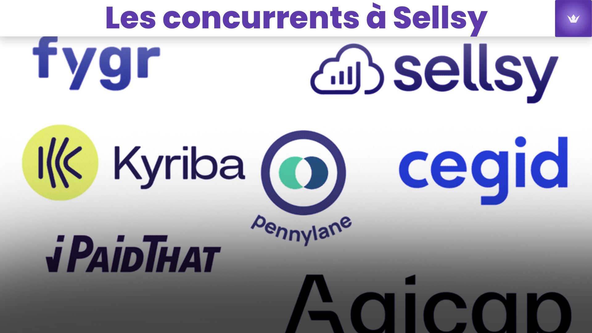 les concurrents a sellsy.jpg