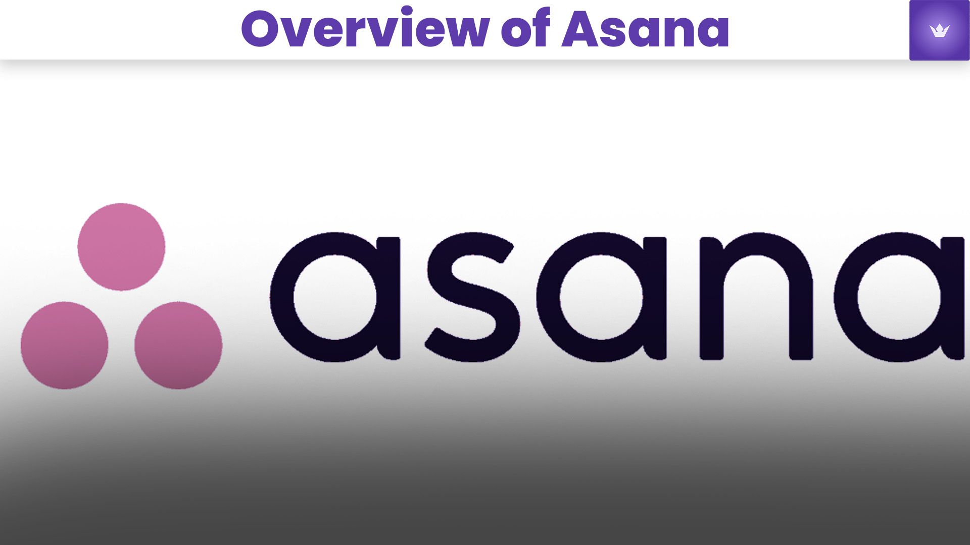 overview of asana.jpg